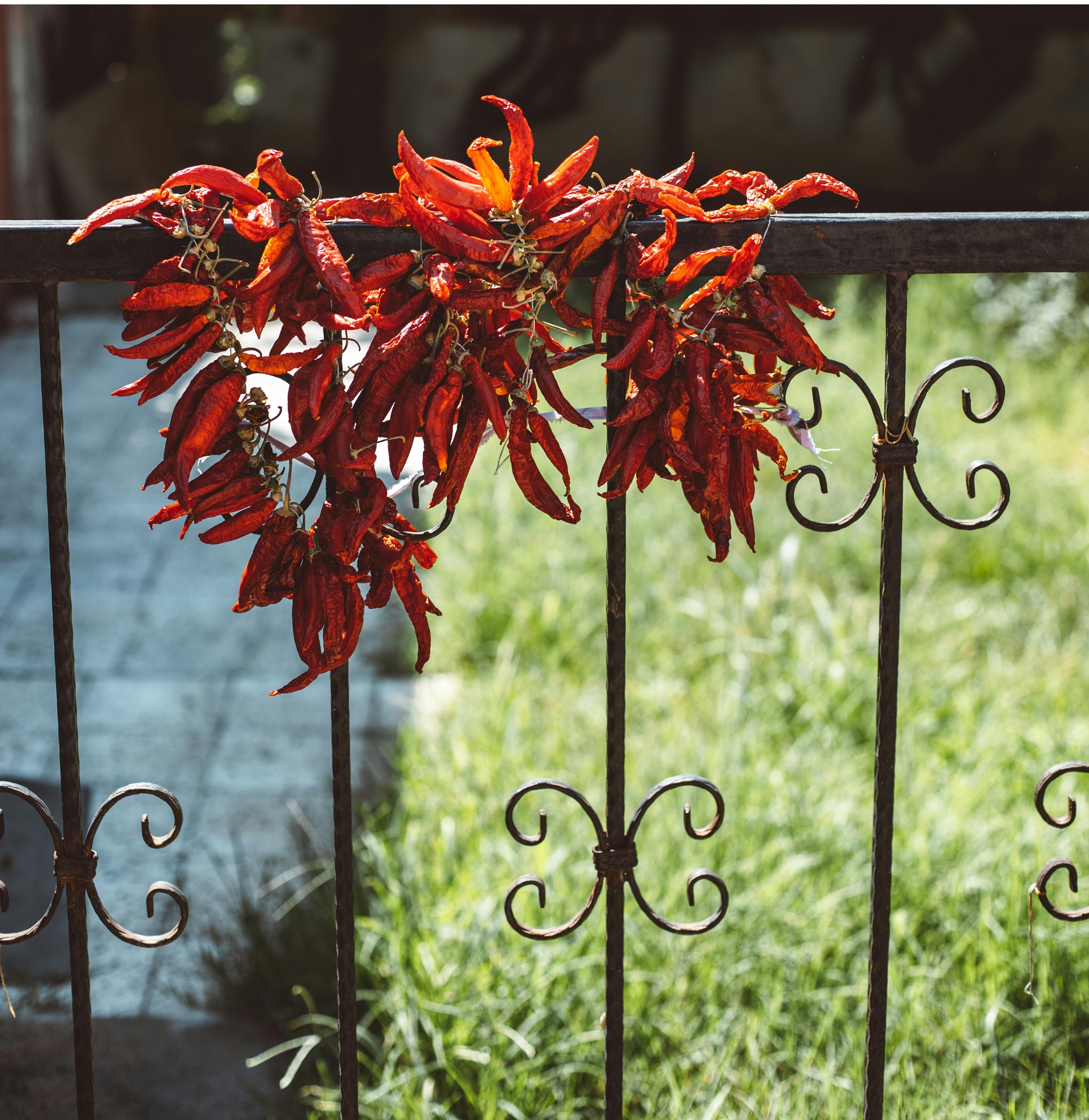 Ako vyrobiť zábradlie na terasu svojpomocne